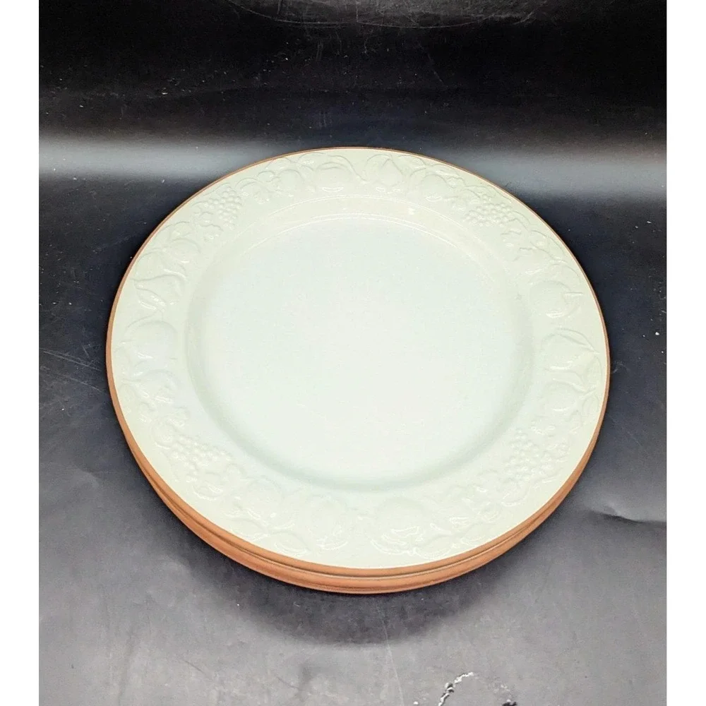 Set/4 Pier 1 Italian Pottery White Embossed Fruit Terra Cotta Edge Dinner Plate